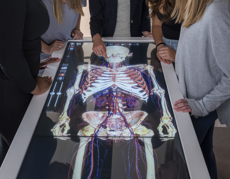 Group of people gathered around an interactive touchscreen table displaying a detailed anatomical model of the human body, with one person pointing at the screen.