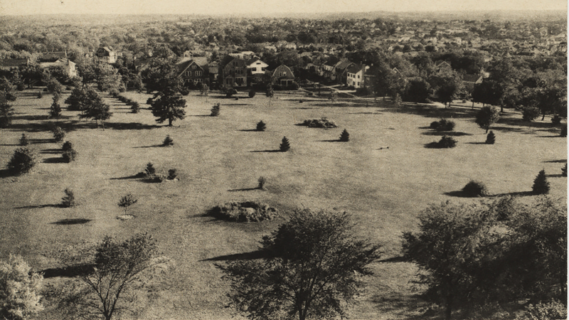 A large open field with scattered trees, bordered by a residential area with houses and dense tree cover in the background.