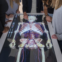 Group of people gathered around an interactive touchscreen table displaying a detailed anatomical model of the human body, with one person pointing at the screen.