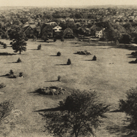 A large open field with scattered trees, bordered by a residential area with houses and dense tree cover in the background.